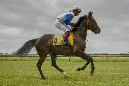 Magdeburg, Germany - 24 June 2017: Girl jockey is on the dark bay horse. Warm-up before racing. Race track in Magdeburgのeditorial素材