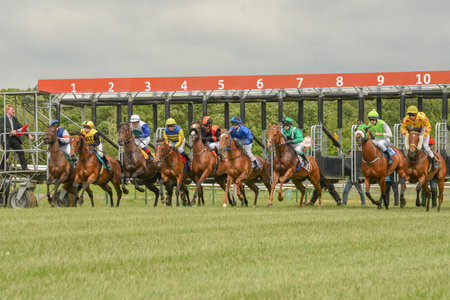 Magdeburg, Germany - 24 June 2017: Start of horse race. Tough fight between the jockeys riding race horsesのeditorial素材