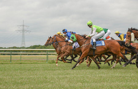 Magdeburg, Germany - 24 June 2017: Horse race. Tough fight between the jockeys riding race horsesのeditorial素材