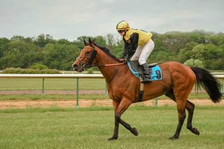 Magdeburg, Germany - 24 June 2017: Jockey is on the red horse. Warm-up before racing. Race track in Magdeburgのeditorial素材
