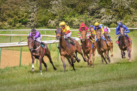 Magdeburg, Germany - 22 August 2015: Horse Racing. Eight jockeys on horsebackのeditorial素材