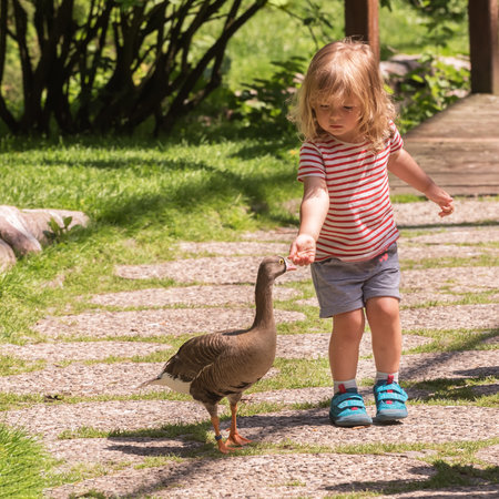 Germany, Walsrode - 15 Juni 2021: White-faced whistling duck and small girl. Communication chidren with birds. Family outdoor recreation. Summer landscapeのeditorial素材