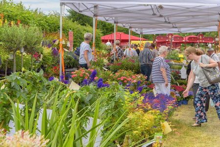 Magdeburg, Germany - June 11, 2022: People enjoy nature, sell and buy sprouts of blossoms, flowering shrubs, ornamental plants, fruit trees and vegetables for their gardens. summer landscapeのeditorial素材