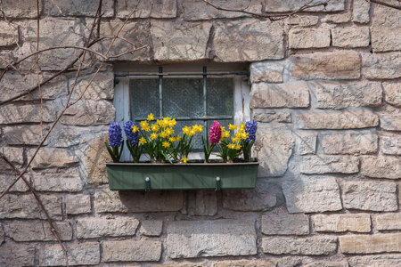 Country house window with spring flowersの写真素材