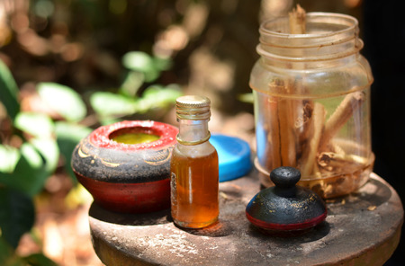 Cinnamon sticks and a bottle of essential oil in botanical park of Sri-Lankaの写真素材
