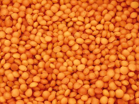 Lentils are red. Harvest the legumes. Background, screensaver. Still life. Close-up.の写真素材