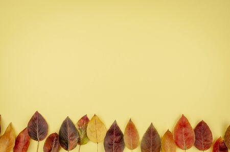 Colorful autumn leaves on a yellow background. Background mode. View from above.