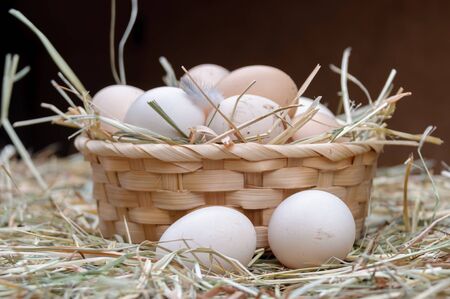 Basket with chicken eggs in the hay. Eggs lie on the dry grass. Organic natural product. Still life...