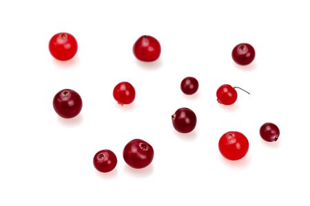 Red berries ripe cranberries on a white background. Harvest cranberries closeup.の写真素材