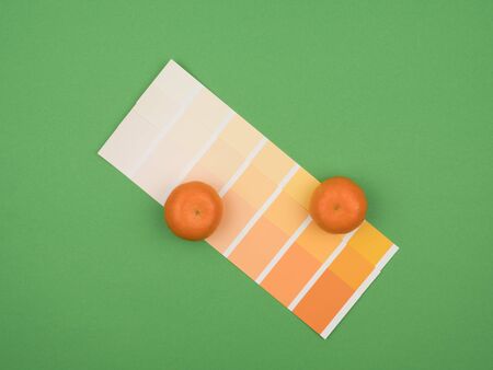 Orange and tangerine color palette. The green background. The view from the top.の写真素材