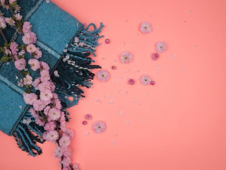 Branches with double pink flowers on a turquoise blanket. Of almond flowers on a pink background....