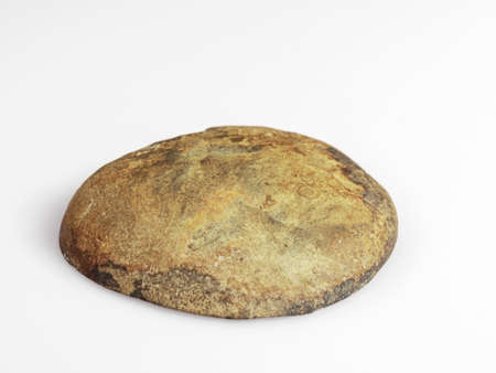Septaria on a white background. Turtle stone. Dragonstone.の写真素材