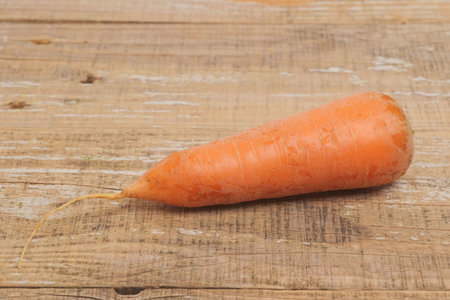 A Fresh Organic Carrot Placed Beautifully on a Rustic Wooden Surface for Presentationの写真素材