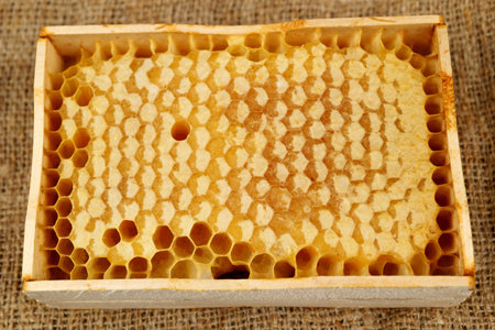 Enjoy exquisite Fresh Honeycomb in a Wooden Frame, highlighting its Natural Sweetness and Textureの写真素材