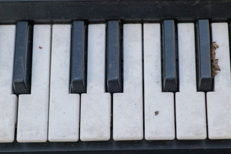 This is a closeup view of dusty piano keys that evoke a sense of nostalgia and beautyの写真素材