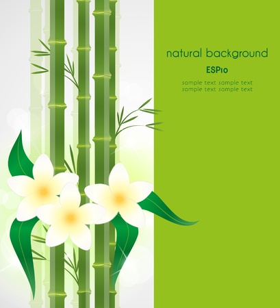 natural background with place for text, the spa still life 1のイラスト素材