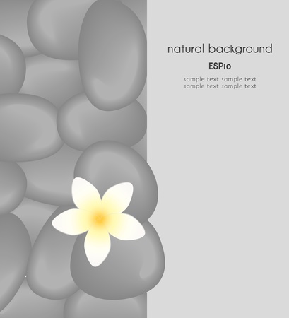 natural background with place for text, the spa still life 2のイラスト素材