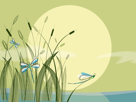 Morning sunrise over the lakeのイラスト素材