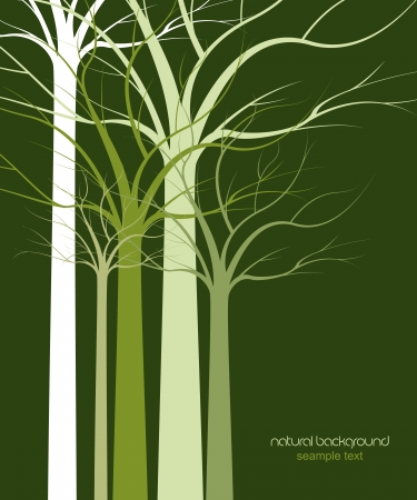 natural background of trees without leavesのイラスト素材