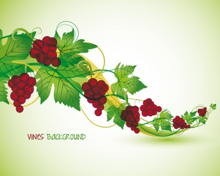 branch with red grapes in the backgroundのイラスト素材