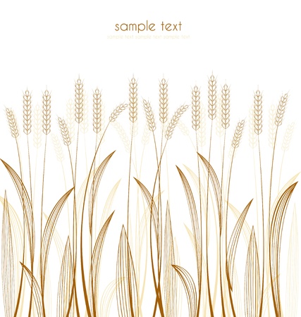 cereal grass on white backgroundのイラスト素材
