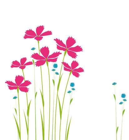 Decoration of flowers on a white backgroundのイラスト素材