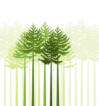 Group of trees on a white backgroundのイラスト素材