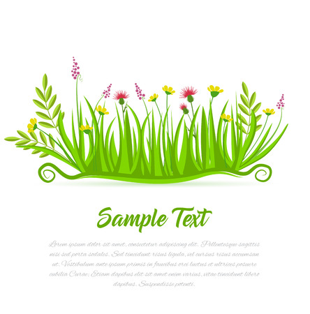 Vector illustration of grass and flowers on a white backgroundのイラスト素材