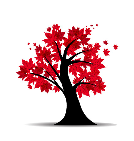 Vector illustration of a maple tree silhouetteのイラスト素材