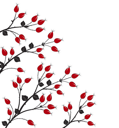 Vector illustration rose hip, silhouette autumn bushのイラスト素材