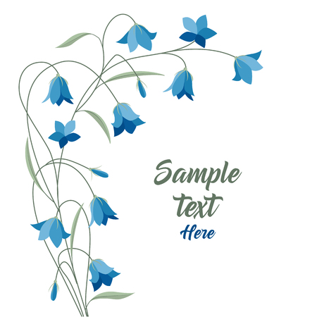 Summer flower campanulaのイラスト素材