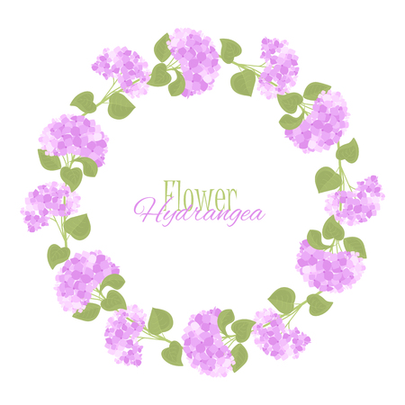 Vector hydrangea flowerのイラスト素材