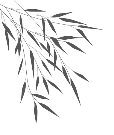 Vector bamboo leavesのイラスト素材