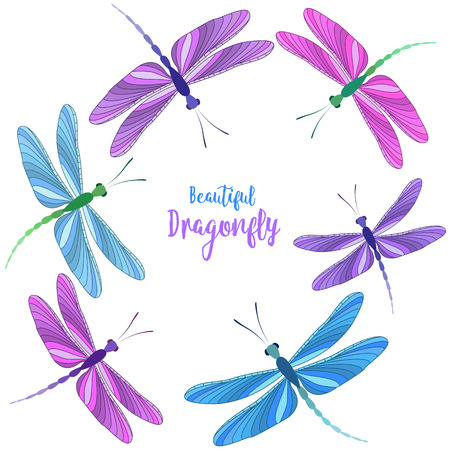 Dragonflies in flightのイラスト素材