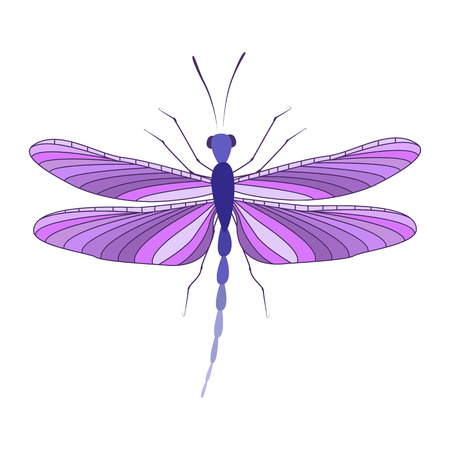 Dragonfly in flightのイラスト素材