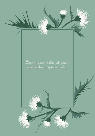 Vector Illustration of thistle with leaves. Floral background.のイラスト素材