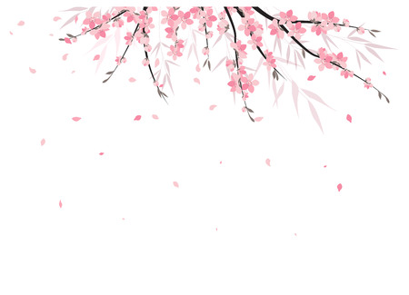 Vector illustration Sakura branch decoration. Floral background. Pink flowersのイラスト素材