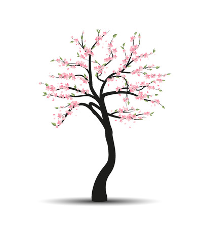 Vector illustration of a tree sakura. Natural backgroundのイラスト素材