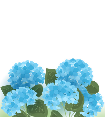 Vector illustration of hydrangea flower Background with blue flowersのイラスト素材