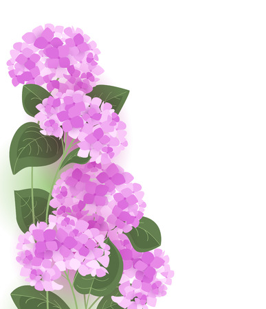 Vector illustration of hydrangea flower. Background with floral decorationsのイラスト素材