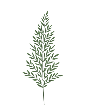 Vector illustration Silhouette leaves of fern. Green leafのイラスト素材