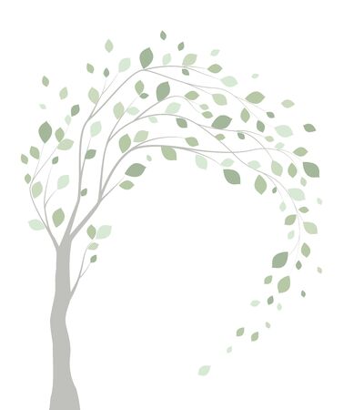Vector illustration of a tree with leaves on a white backgroundのイラスト素材