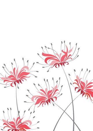 Vector illustration of floral decoration on a white background, red flower Higanbanaのイラスト素材