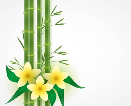 Vector illustration flowers. Natural background with place for text, the spa still lifeのイラスト素材