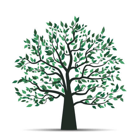 Vector illustration of a tree with leaves on a white background. Natural backgroundのイラスト素材