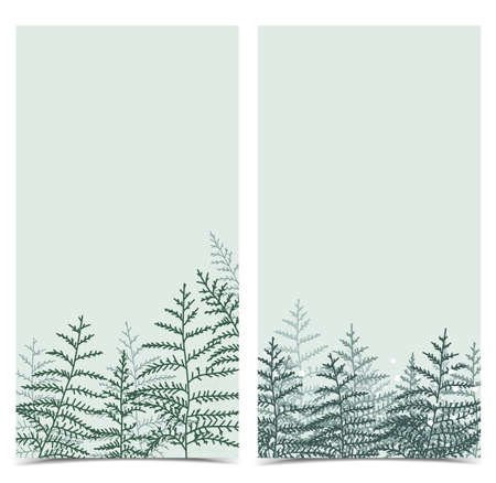 Vector illustration of bracken. Natural background, invitation card template with branches, leaf decoration. Bannerのイラスト素材