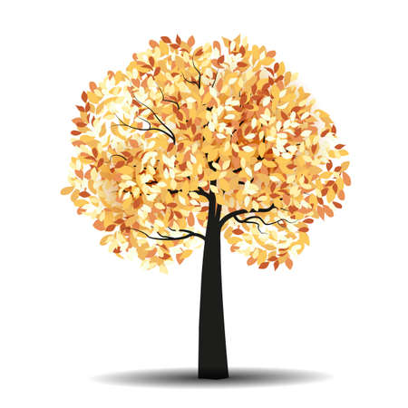 Vector illustration of autumn tree with falling leaves on a white backgroundのイラスト素材