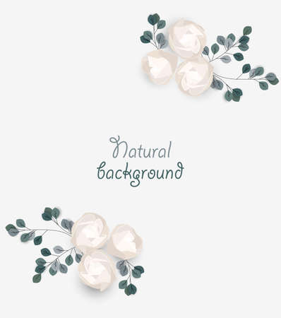 Vector illustration with roses and leaves. Romantic background with branches for invitations or graphic templates for your designのイラスト素材