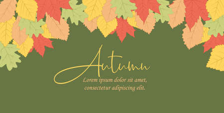 Vector illustration of autumn leaf in colors. Background of natural leaves. Banner templateのイラスト素材