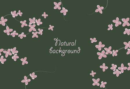Vector illustration of white flowers. Romantic background with branch decoration with flowersのイラスト素材